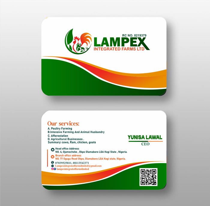 Logo and branding design sample by Topweb Technologies, Abuja