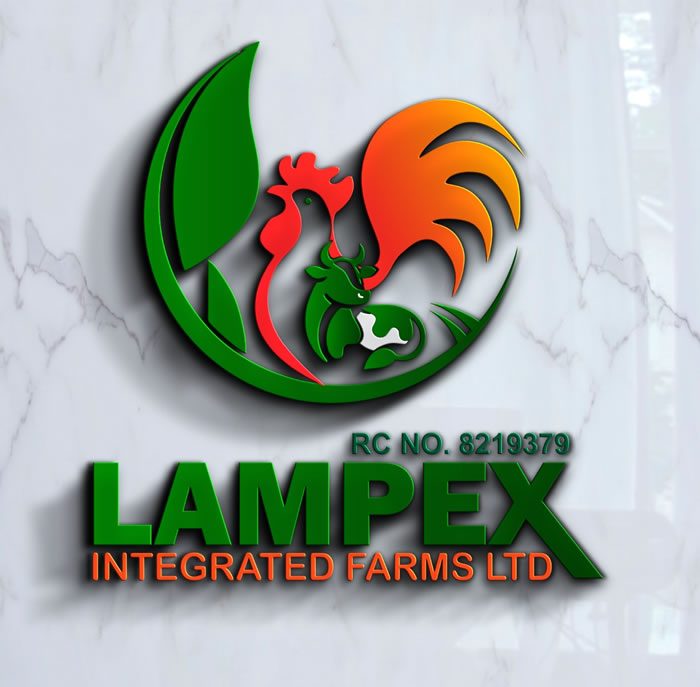 Logo and branding design sample by Topweb Technologies, Abuja
